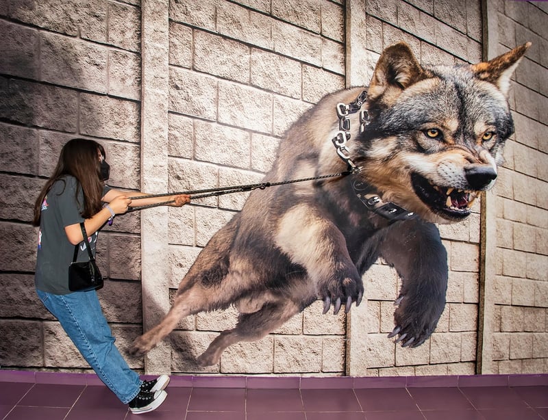 Interactive Activities